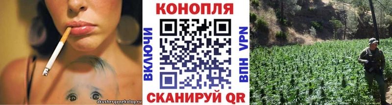 Конопля OG Kush  Алапаевск 